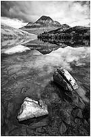 bw220